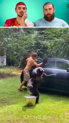 The Dudes Watch, Laugh, and REACT to the Cutest Animal Moments! 🐧🐾 Don’t Miss Out!