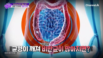 ★지금은 다이어트 골든타임★ 설날 내내 먹은 정제 탄수화물, 몸 밖으로 배출하라!