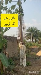 Funny video, comedy video, intertainment