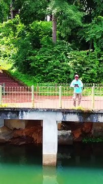 mangalam dam|palakkad tourist place| Kerala,India