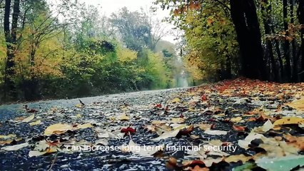 What Parents Get Wrong About Money and Their Kids | The Truth About Financial Education