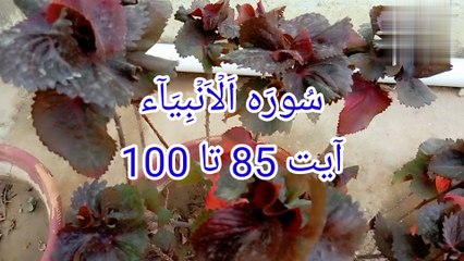 Surat ul Anbiya  Surah Al Anbiya  quran tilawat  tilawat surah Al Anbiya  bubak learn quran