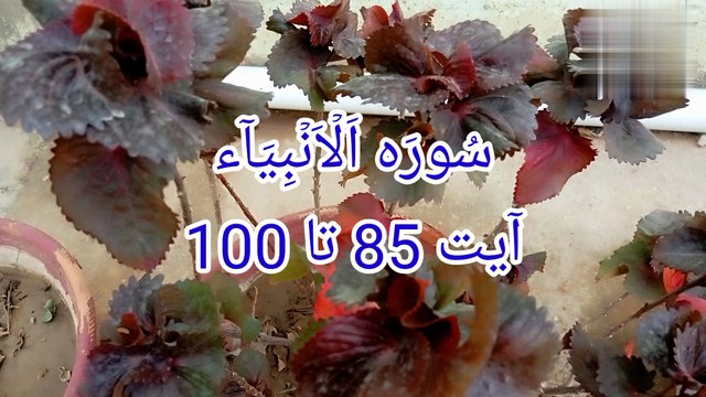 Surat ul Anbiya Surah Al Anbiya quran tilawat tilawat surah Al Anbiya bubak learn quran