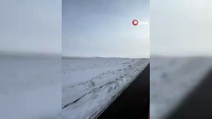 Aç kalan kurt köye indi! O anlar kamerada