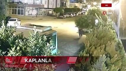 Mersin'de iş yerlerini kurşunlayan 'Kaplanlar' çetesi çökertildi