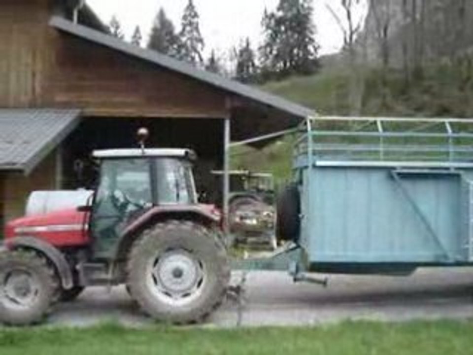 Mise en champs des génisses