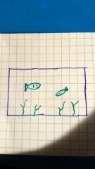 Pesci verdi  acquario  disegno