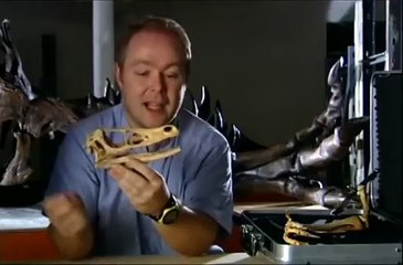 Batalla De Dinosaurios Ep2: Velociraptor Vs ankylosaurus