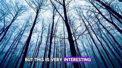 Whispers in the woods | horror story