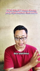 Cerita horor Desa Peng4nt1n part 06