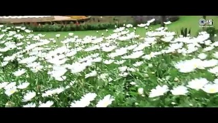 Raaton Ka Jaag Kar /1992 Saatwan Aasman / Vivek Mushran, Pooja Bhatt