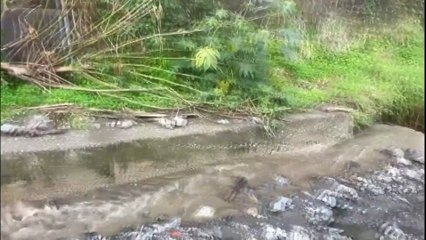 Ancora danni post maltempo, si lavora a Zafferia e Ponte Schiavo. Problemi a Cumia