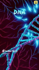 हज़ार स्त्रियों के प्रति आकर्षण || आचार्य प्रशांत