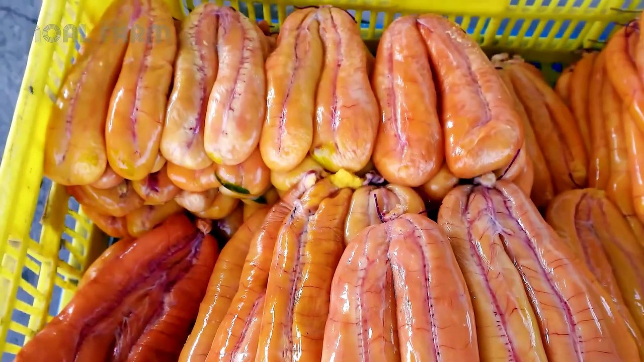 How Mullet Roe Extracted _ Processed in Fish Roe Factory - Skilled Workers Process Mullet Roe!