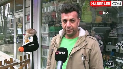 İki Pomeranian Köpeği Çalınan Adam Yardım İstedi