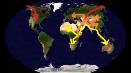 APUSH 1_ Biological Adam and Prehistoric Human Migration