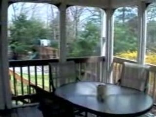 Duxbury, Massachusetts (MA) real estate 02332