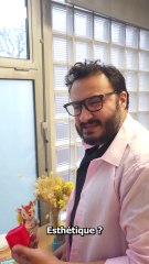 Les reds flags quand tu bosses dans le social