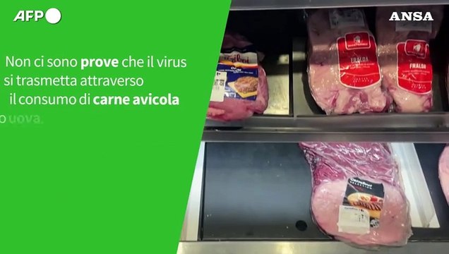 ANSA VERIFIED - E' vero che l'influenza aviaria puo' infettare facilmente l'uomo?