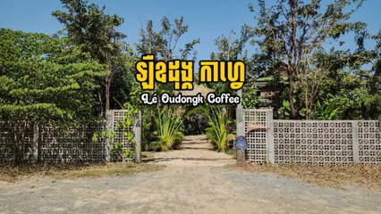 ហាងកាហ្វេមួយកន្លែងនេះនៅជិតភ្នំឧត្តុង្គ បើនិយាពីបរិយាកាសវិញ