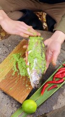 Hooked on fish! Juicy tips for fish enthusiasts!