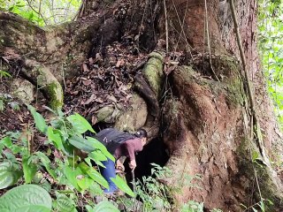 Incredible Survival Skills – Girl Spends the Night in a Tree Hole 🌲🏕️