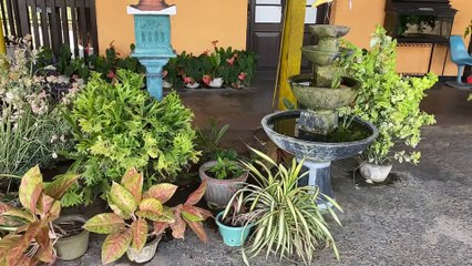 Katunayake Sri Lanka railway station - lavishly decorated, including train and plane spotting, Bahnhof, gare, Вокзал Катунаяке, Шри-Ланка