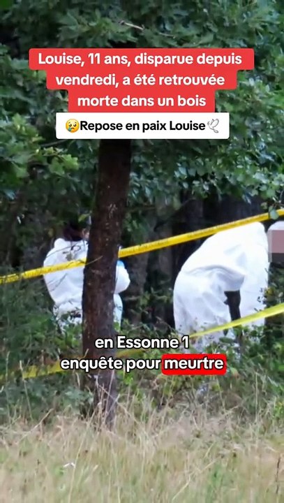 Louise, 11 ans, disparue depuis vendredi, a été retrouvée morte dans le bois de Templiers à Épinay-sur-Orge en Essonne