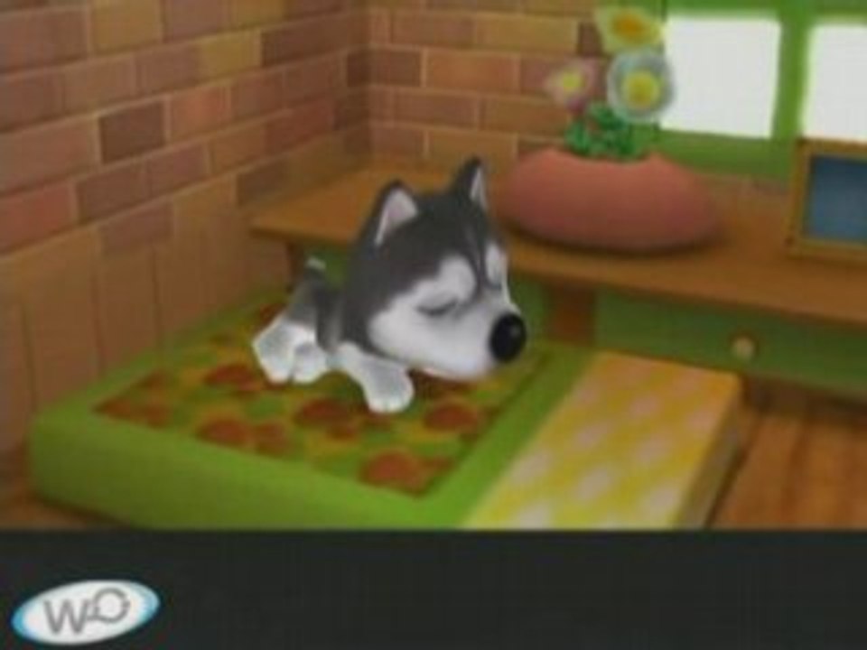 20 Wiinutes - The Dog Island