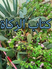 بلوغ المرام ( 40 )