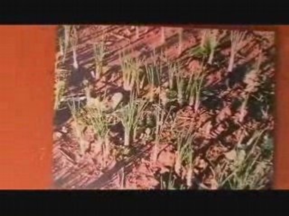 Visite de la coopérative de Safran au Maroc