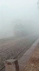 Foggy Morning and train