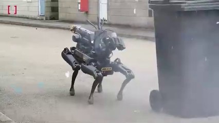 New hi-tech robot dogs detect and defuse bomb threats