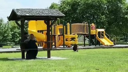 Mad World | Sci-Fi | HD | Film Completo in Italiano