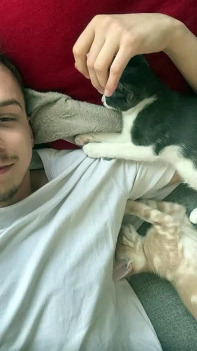 Guess I’m their official nap spot now. 🐾😴 #cuddles  C’est officiel, je suis devenu leur endroit préféré. 🐾😴