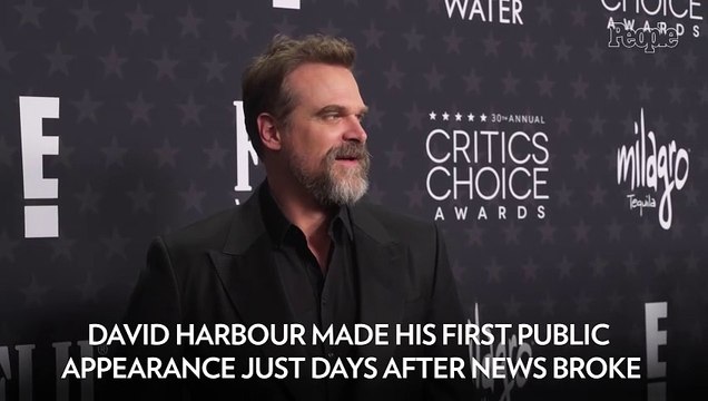 David Harbour Makes First Red Carpet Appearance Since Lily Allen Split at 2025 Critics Choice Awards