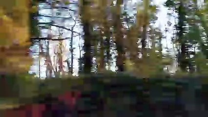 VID20250205161453 I was driving past Lord and Lady Londonderry's Estate they lost ten thousand tree to Storm Eowyn.