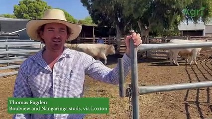 Stock Journal Beef Week day two, 2025