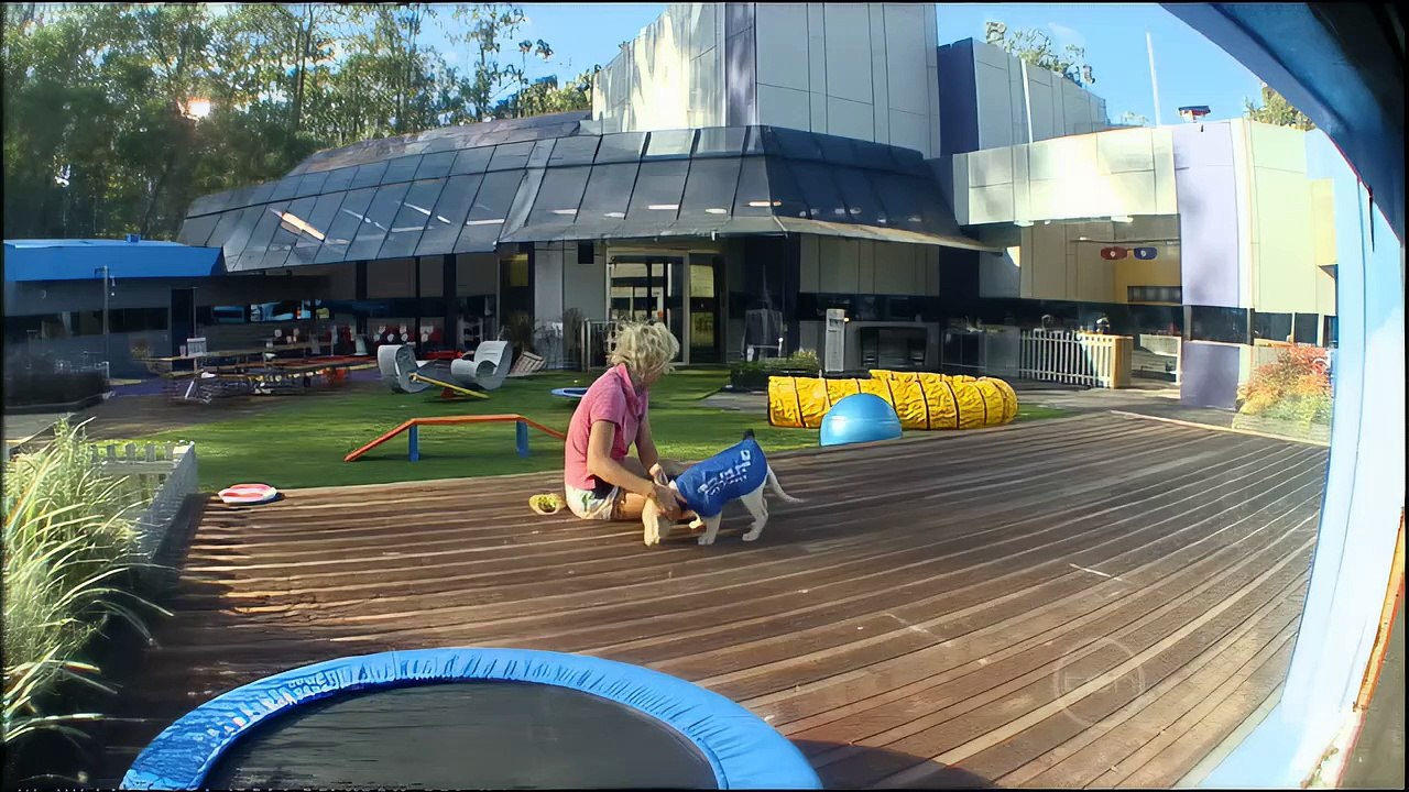 041-Big Brother Australia Season 8, Day 31, Daily Show, Wednesday 28 May 2008