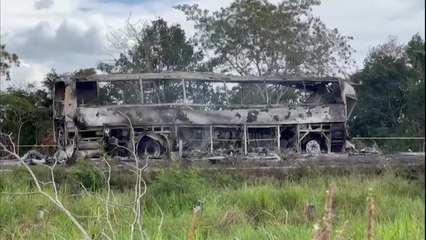 멕시코 여객 버스, 화물 트럭과 충돌..."41명 사망" / YTN