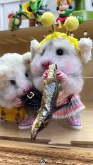Hamster Siblings or Best Friends?