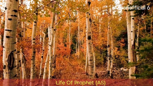 Hazrat Yusuf (AS) | Story Of Prophet Yusuf| Life details Yusuf