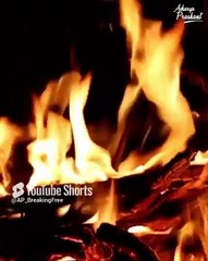 Ultimate Time Management || Acharya Prashant