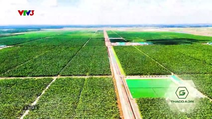 Road to Mount Olympia s25 ep17