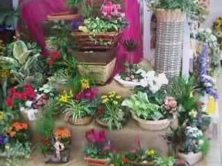 Fascinations d'Alain1 Boutique projet en music