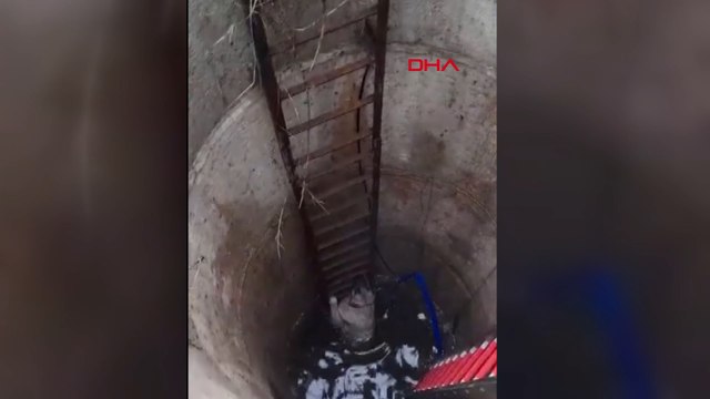 Çatalca'da su kuyusuna düşen 'Garip' böyle kurtarıldı