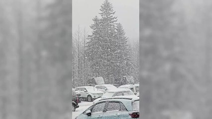 Abetone, domenica 9 febbraio: è davvero una super nevicata