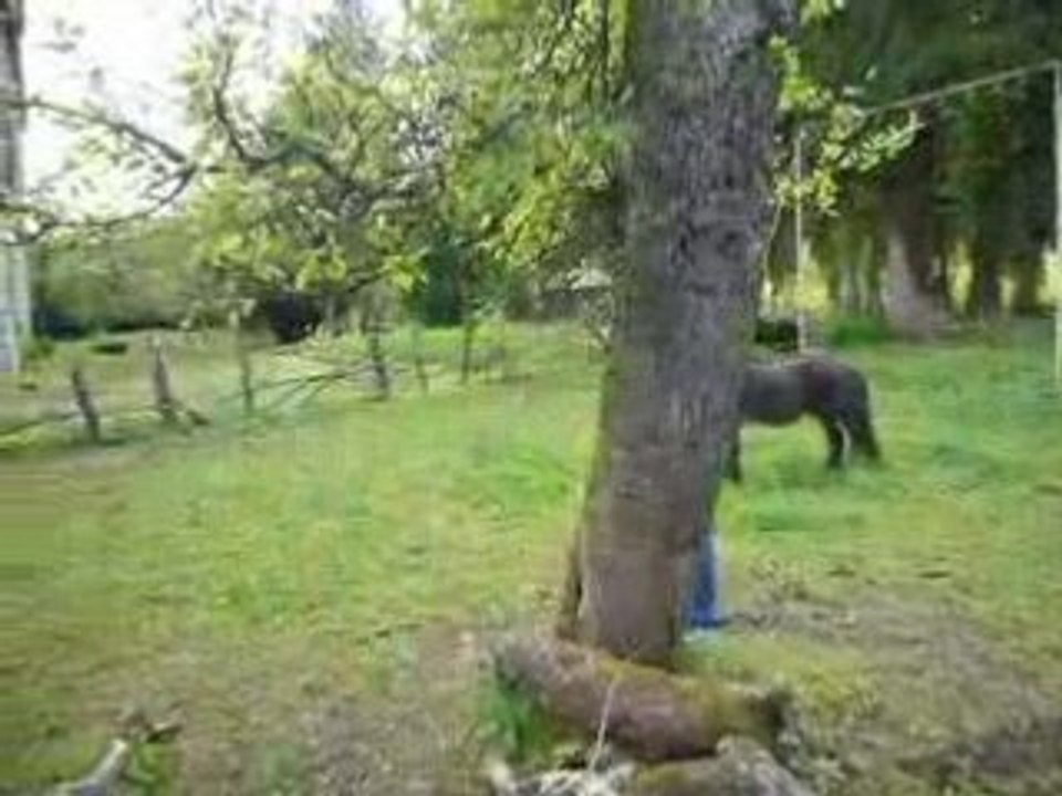 Apres midi a salins 026