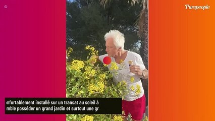 Gérard Lenorman : Sa maison avec piscine située dans la ville du Sud qui a le plus beau marché de France