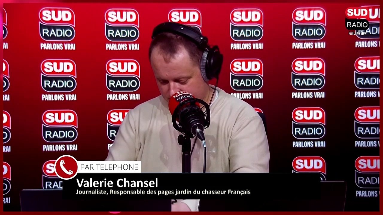 Que faire au jardin en ce début de février ? - Tous au jardin